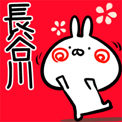 Hasegawa usagi Myouji Sticker