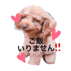 kotetsukundayo2