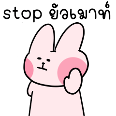 ต่ายขี้วีน : ใช้ได้ทุกวัน