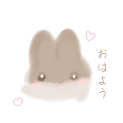 Fluffy rabbit 01