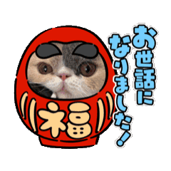 chris_20251213110457