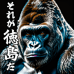 Gorilla talking about a Tokushima