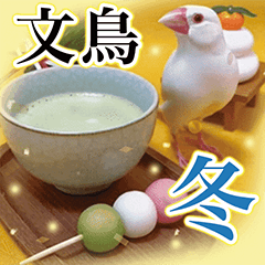 Java sparrow New Year's holiday