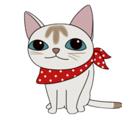 Singapura Cat Everyday Stickers