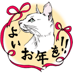 にゃんズの冬２