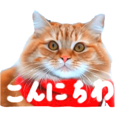 tentoto_20251213224748