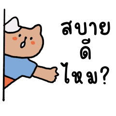 น้องแมวสายแฟ น่ารัก ใจดี