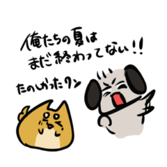 That summer was fun, Pochi Paisen