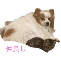 OHISAMA_20251214001728