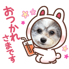 KARIN_20251214104638