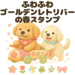 Fluffy Golden Retrievers Spring Stickers