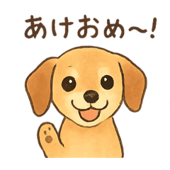 happydog_20251214144118