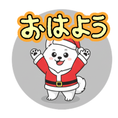 White dog's Christmas