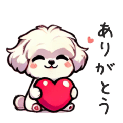 一年使えるマルチーズ