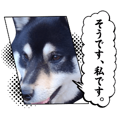 犬のスタンプ2、1もあるから探してね♡