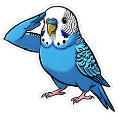 POP Chats with a Blue Polka-Dot Budgie