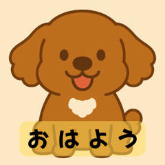 toypoodle Japanese greedings