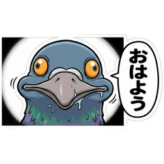 n Your Face! Fish-eye Pigeon