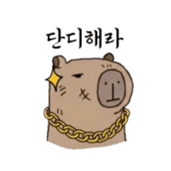 AZZANG archive_20251215125902