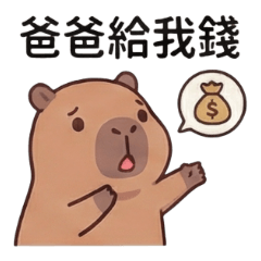 水豚君的慢活日常2