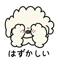 A gentle and shy dog