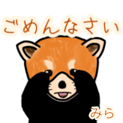 Mira's lesser panda