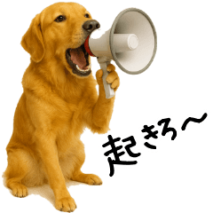 Golden Retriever Family & Friends1