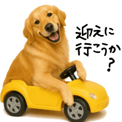 Golden Retriever Family & Friends2