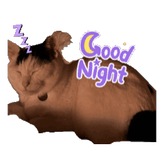 okamoto_20251213162409