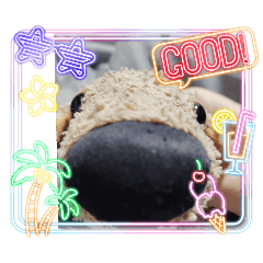 wannsuke_20251213210603