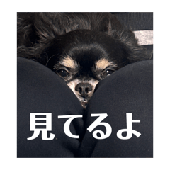 fuuta_20251213101457