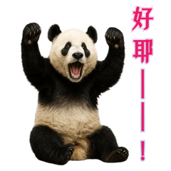 熊貓好朋友(日常動物圖鑑)