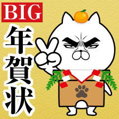 Attractive eye's cat 2026 BIG