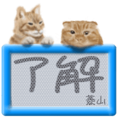 「菱山」リアルふわ猫でか文字日常