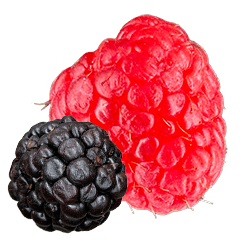 Raspberry&Blackberry Collection
