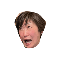 Kamejiro_20251214165530