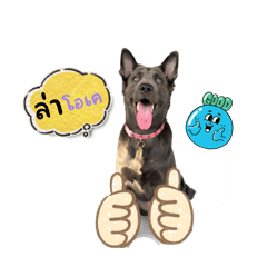 Naritsara_20251214154258