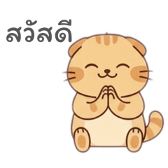 ตะวัน แมวส้มอ้วน