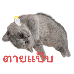 Piano_20251215085028