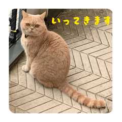 itoukun_20251214181953