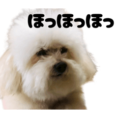 miwako_20251214201253