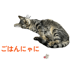 Kazuya_20251214190804