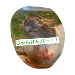 Chuckster_20251214211124