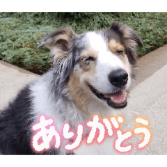 Sendai Senior Hanako_20251214230728