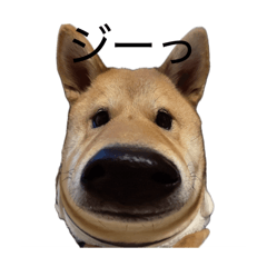 sobus smith_20251214231802