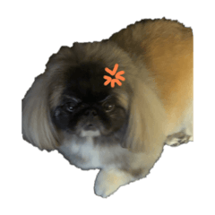 COCHA_20251214232112