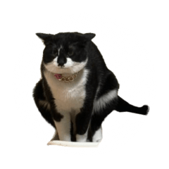 nnnnnnn_20251214232606