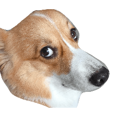 Bocon_20251214221854