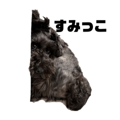 Chihiro_20251214193441