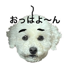 saorin_20251214202632